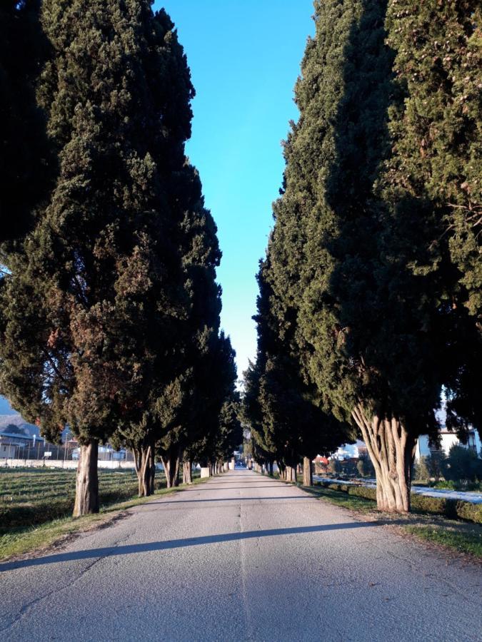 Guest House Villa Angaran San Giuseppe Bassano del Grappa Esterno foto